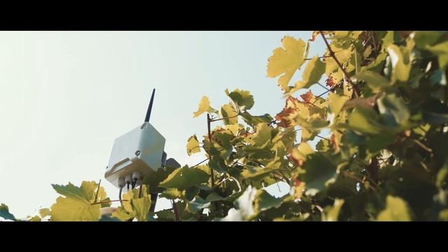 CAIPOS МЕТЕОСТАНЦИИ смотреть онлайн