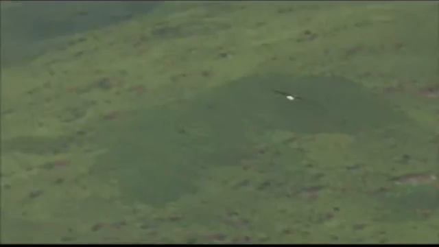 Твори Добро! Песня141 смотреть онлайн