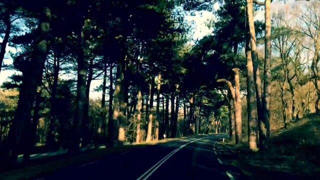 Дорога на Северное море, Голландия, Way to North Sea, Holland смотреть онлайн