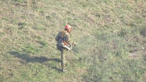 Не легка профессия косца травы.