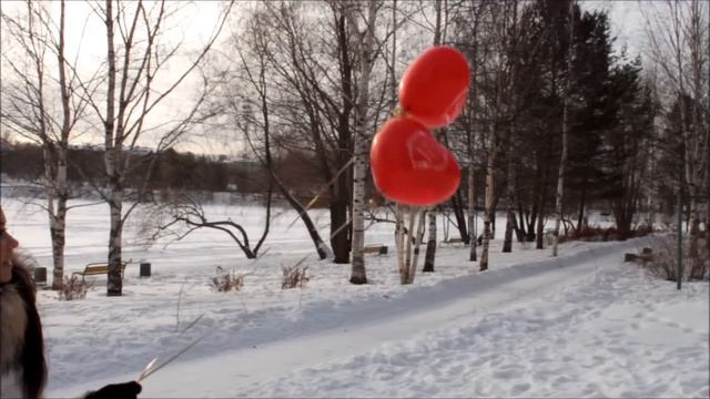 С Днем Рождения Димочка.wmv смотреть онлайн