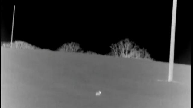 2 bunnies recorderd with angel eye from xd50s spotter смотреть онлайн