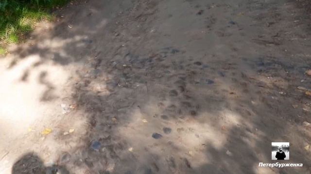 Старая булыжная дорога в Удельном парке смотреть онлайн