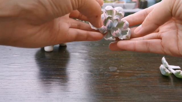 伯克利锦砍头记录 смотреть онлайн