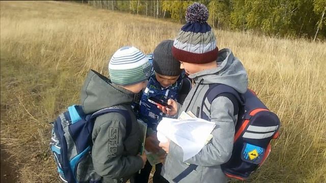 почему листья опадают