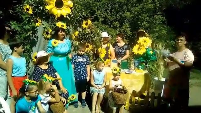 Подсолнух - символ Солнца, радости и оптимизма смотреть онлайн