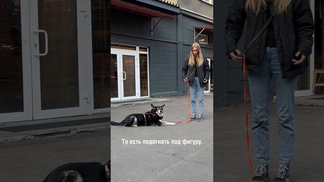 Поводок-перестёжка: варианты использования смотреть онлайн
