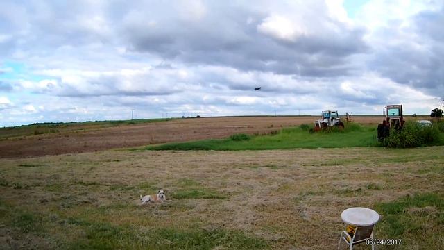 Banggood's MJX Bugs 6 flight video смотреть онлайн