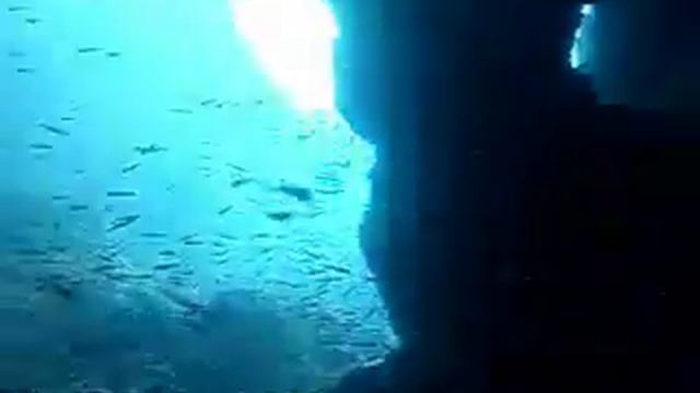 Arkoudi Cave смотреть онлайн