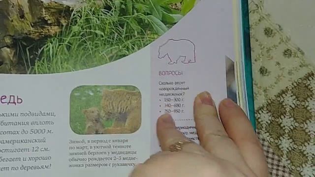 10 февраля 2019 год / Обзор подарка на день рождение девочке 7 лет/ Плюшевая кошечка /Полезная книг смотреть онлайн