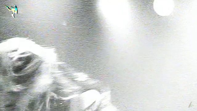 Mötley Crüe ⋄ Kickstart My Heart (4K Remastered)