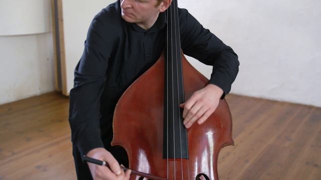 František Černý - Dance of Satyres | Szymon Marciniak double bass, Jongsuk Kim piano смотреть онлайн