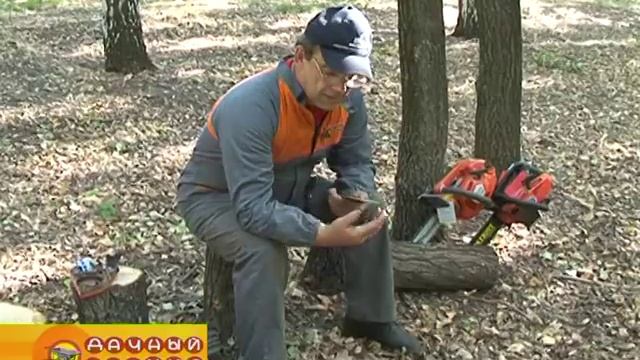 Уход за бензопилой смотреть онлайн