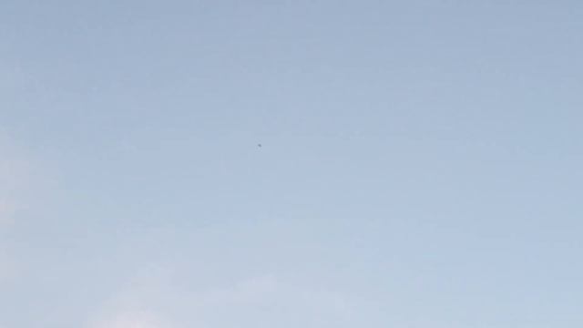 беспорядочные атаки ястреба полётов не получилось Обошлось без жертв?? смотреть онлайн