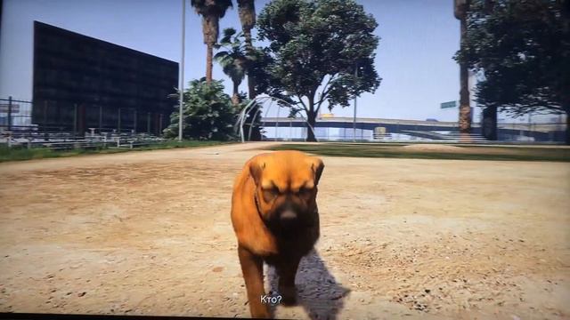 Game Time/GTA V лофофора 1/27 смотреть онлайн
