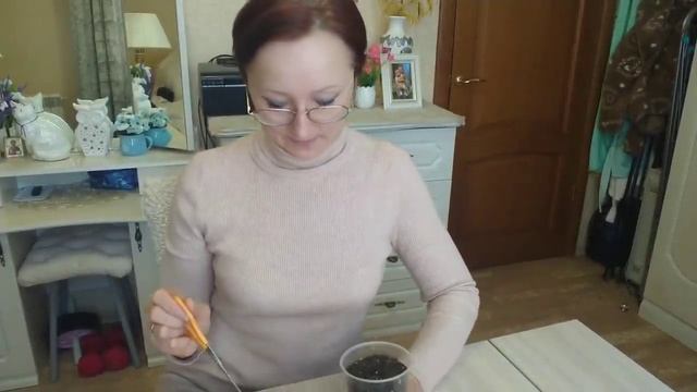 Домашнее видео. Хроника. Баклажан Бастион и Меч самурая. Planted eggplants/ смотреть онлайн