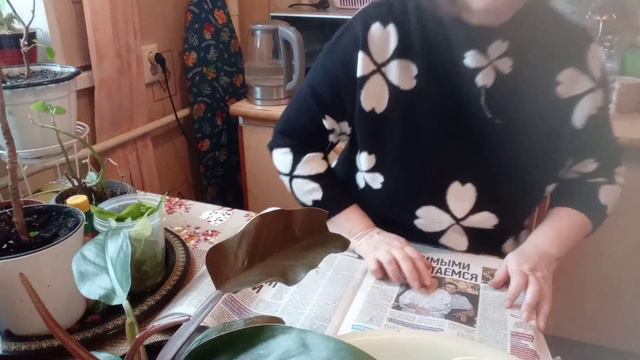 Пересадка одного растения смотреть онлайн