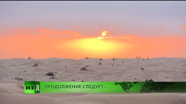 Сахара. Зима в пустыне. смотреть онлайн
