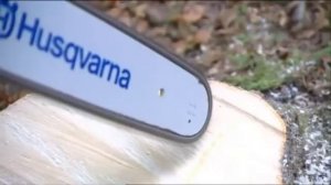 Как правильно работать бензопилой. Часть 1