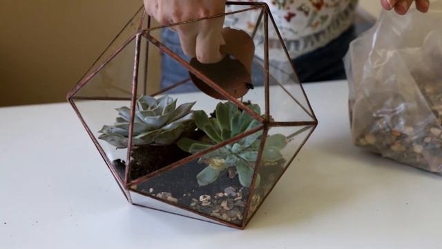 Vlog #3/ Зимний уютный влог. Распаковка икеа, посадка суккулентов и вязание смотреть онлайн