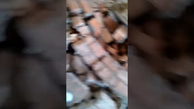 Заброшенный полицейский участок смотреть онлайн