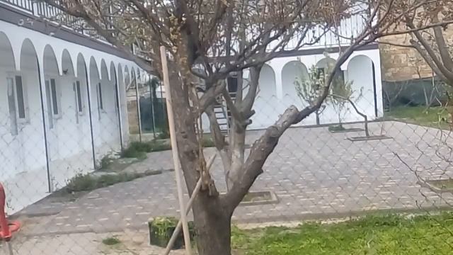 КАК ЖИЗНЬ В ЧЕТЫРЁХ СТЕНАХ И ЧТО ПРОИСХОДИТ ...14.04.2020 смотреть онлайн