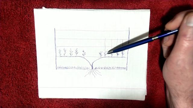 Как, когда, и чем я защищаю свой виноград от болезней и вредителей 🐛 смотреть онлайн