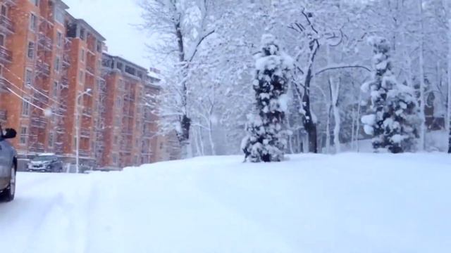 #РУБРИКАБЕСЕДКА | ЛИЗКА НА СЕВЕРЕ - ПО ДОРОГЕ В ШКОЛУ, ПРИШЛА ЗИМА И ВСЁ ЗАМЕЛО смотреть онлайн
