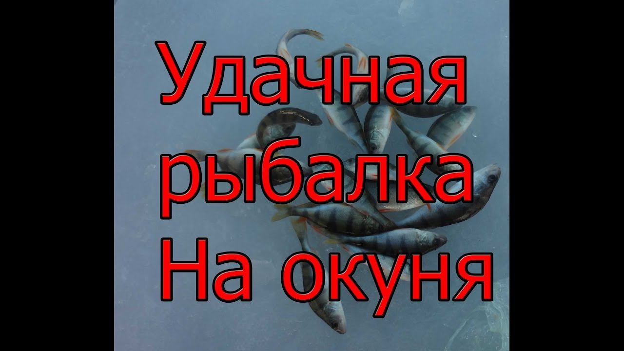 УДАЧНАЯ РАБАЛКА НА ОКУНЯ