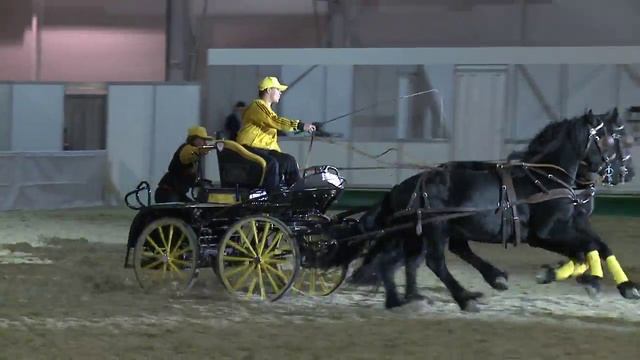 Эквирос 2014:Экстремальный драйвинг на лошадях фризской породы. КСК "Свечинский", Ярославская обл. смотреть онлайн