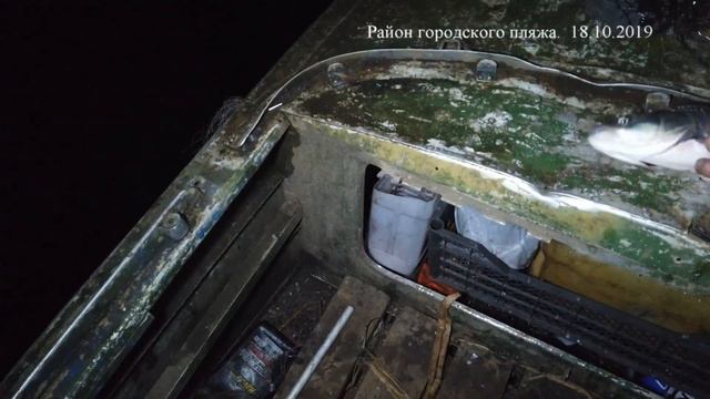 "ЧИСТАЯ РЕКА 54" СКОРО НА КАНАЛЕ... смотреть онлайн