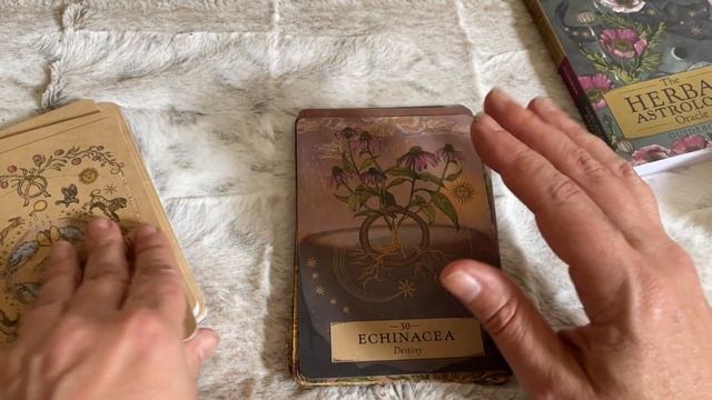 Let's Unbox The Herbal Astrology Oracle ✨ смотреть онлайн