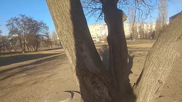 906. Крылья советов. Как стереть болезнь ? Болеть плохо , нужно верить в .... смотреть онлайн