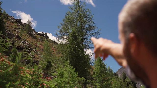 Bergbahnen-Funivie Pfelders | Image Video смотреть онлайн