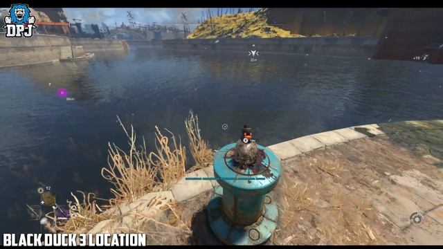 Dying Light 2: ALL SECRET BLACK DUCK LOCATIONS SO FAR - MISSING 5th! 4 Black Duck Locations! смотреть онлайн