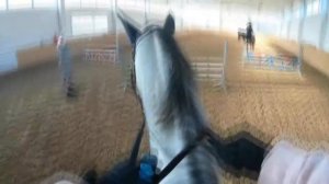 КоноVLOG || конкурная тренировка от первого лица