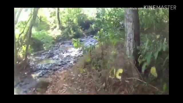 Full video latber Matic Trail Adventure di Karanganyar Solo смотреть онлайн