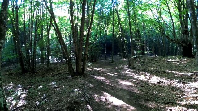 Храм, Дорога и Земляника... | Гора Бойка | Крым 2022 смотреть онлайн