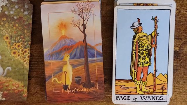 SOUL SPARKLE TAROT - The Feline Rider Tarot 'UNBOXING' смотреть онлайн
