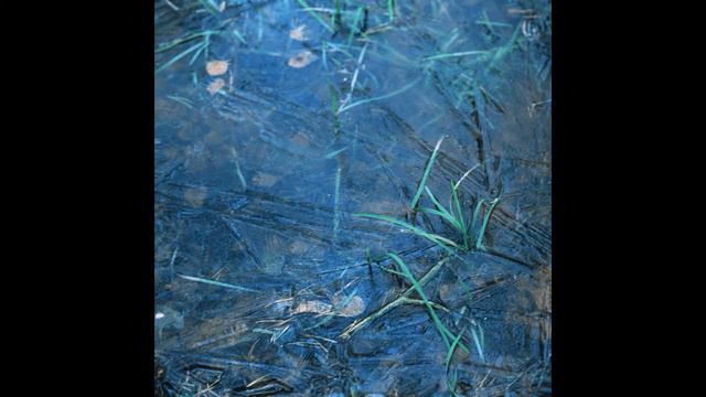 И эти губы, и глаза зелёные - Проблеск смотреть онлайн