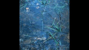 И эти губы, и глаза зелёные  - Проблеск