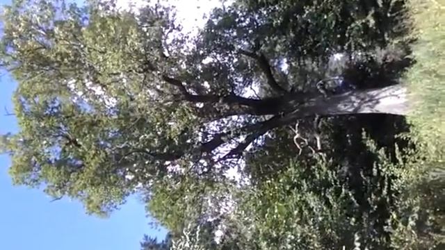 Не теряй меня. смотреть онлайн