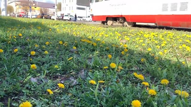 ТАК НЕ ДОЛЖНО БЫТЬ. ? Цены и АКЦИИ на продукты. Моя ЛЮБИМАЯ швабра. Влог. Домашние дела смотреть онлайн