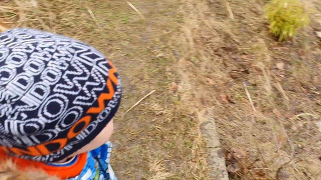 Замовлення рослин в інтернеті. Посадка сосни Chantry Blue взимку, 17.02.2023 смотреть онлайн