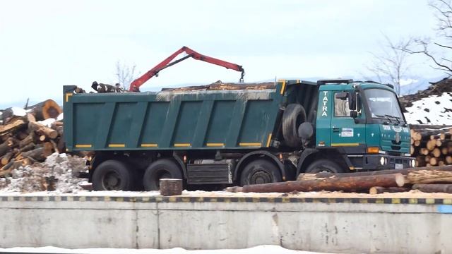 TATRA 815 TERRNO 1 8X8 2020 смотреть онлайн