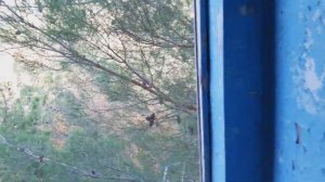 ЗАБРОШЕННЫЙ САНАТОРИЙ ВОСТОК В КАБАРДИНКЕ