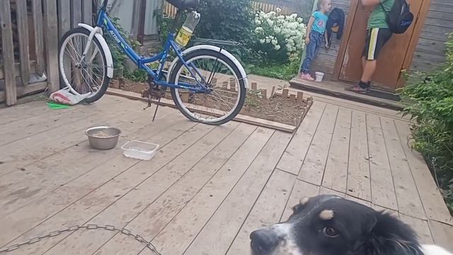 Ночь на таёжной реке. От рыбалки до копалки. Так проводим время! смотреть онлайн