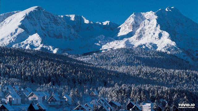 8. Аудио урок для взрослых автоматизации звука Л. смотреть онлайн