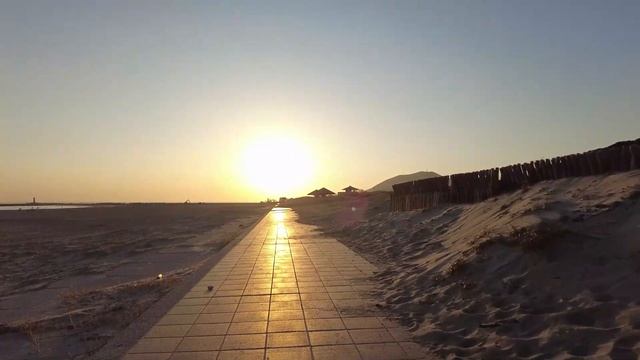 【Surf Trip in Japan】Went for surfing and spent a great day смотреть онлайн