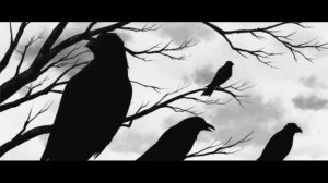 В эту темную ночь (Песня под Гитару)